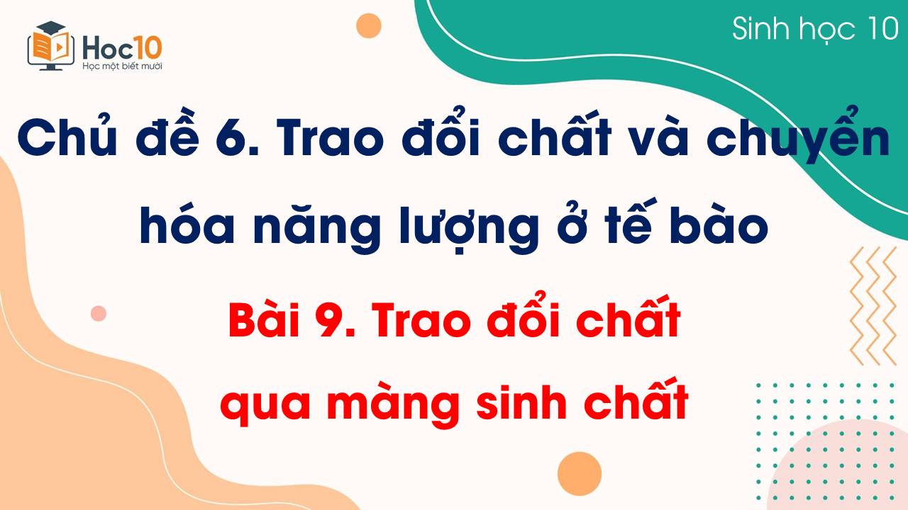 Bài 9 Trao đổi chất qua màng sinh chất